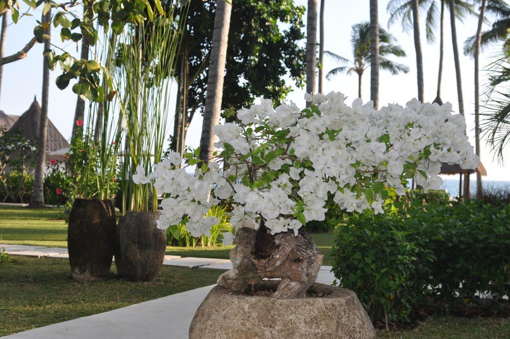The Chandi Boutique Resort & Spa Lajor Buitenkant foto