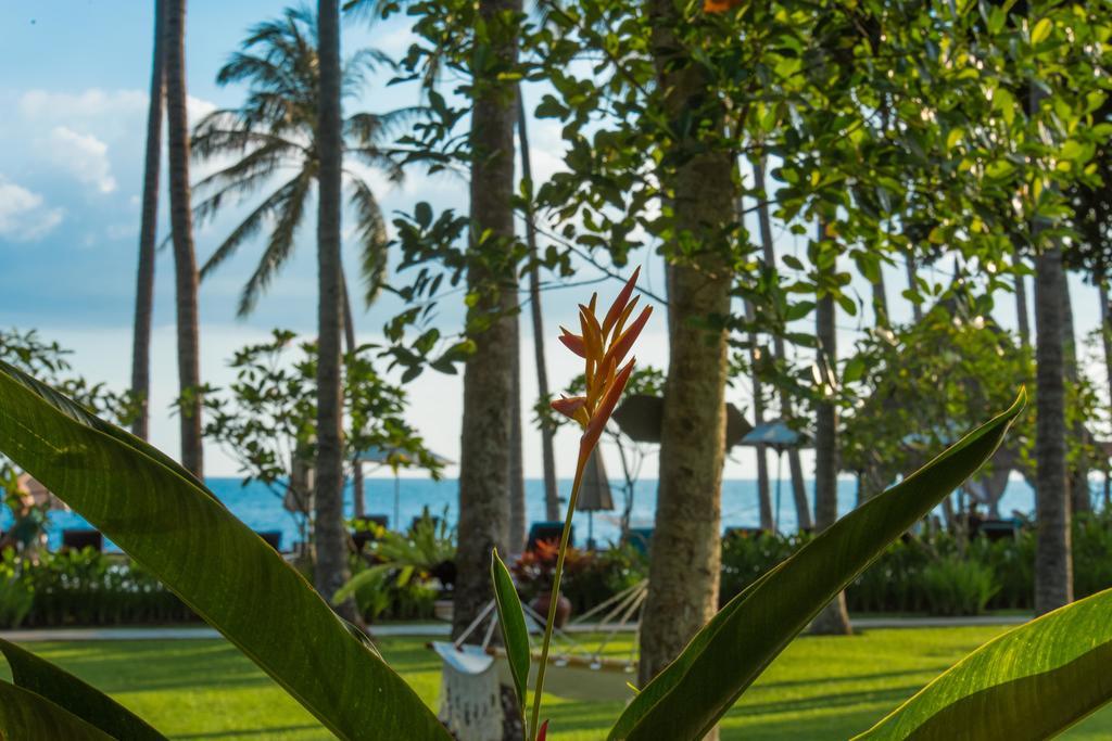 The Chandi Boutique Resort & Spa Lajor Buitenkant foto